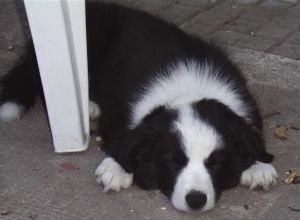 BenBravery01 047.jpg